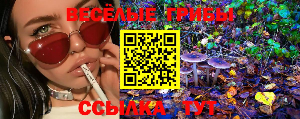 Галлюциногенные грибы GOLDEN TEACHER Зеленокумск