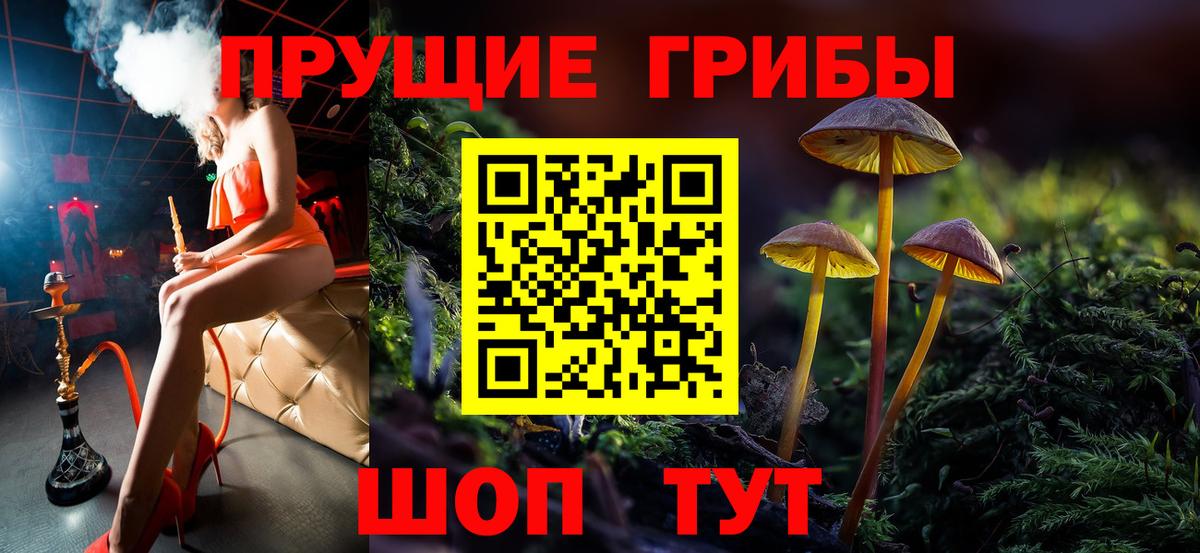 Псилоцибиновые грибы Magic Shrooms  Вход с VPN  Зеленокумск 